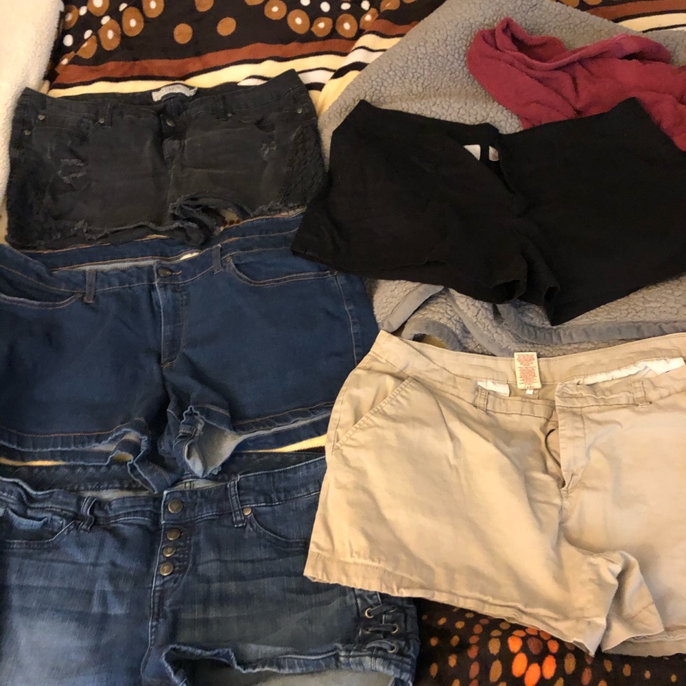 Torrid shorts